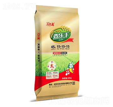 ��(f��)�Ϸ���15-15-15-�����S-�����