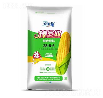 ������\�ͺϷ���28-6-6-������-�����