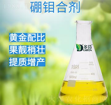 ���f�τ�-����r(n��ng)�I(y��)