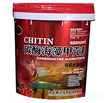 ̼ø����ך���-̩�_����