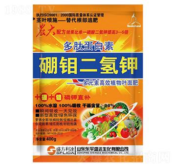 ���ĵ��������f�����-�t�f��