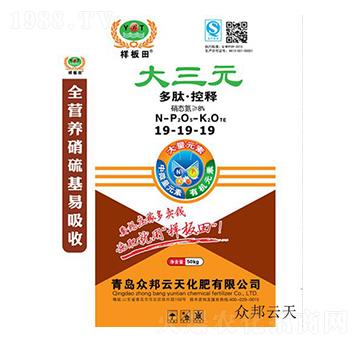 ���ġ���ጷ�19-19-19-����Ԫ-��������