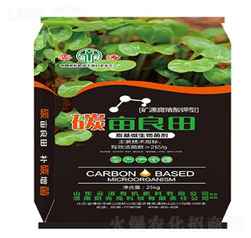 ̿��΢�������-̼����