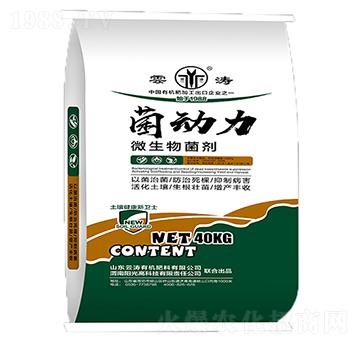 ΢�������-������-��