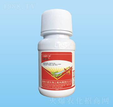 �܎�������-��������