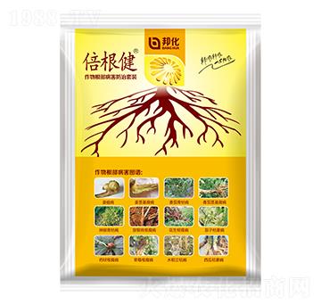 �������������Q����-������