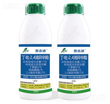 75%��������2��4���ή���֬-�[����-����