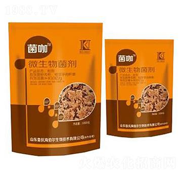 ΢�������-����-��������