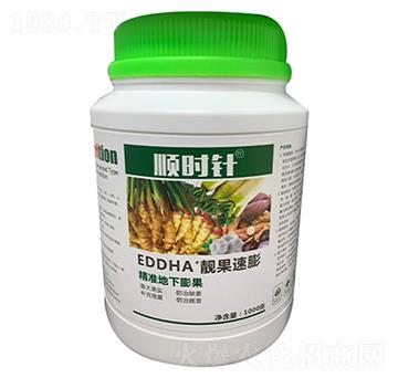 ����(zh��n)�������-�n������-형r�