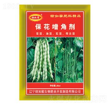 �������Ǆ�-������