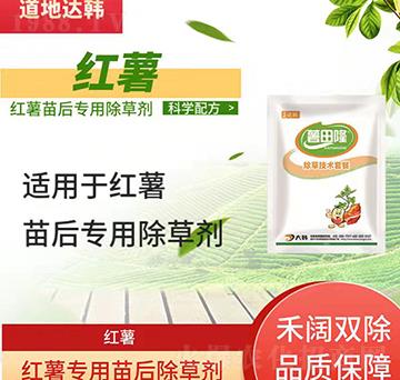 �t�����݄�-�t�����-�t�팣(zhu��n)��-���n