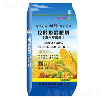 ���׌��ÿ�ጓ������28-6-6-�����