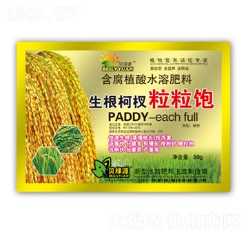 ������������-��(r��n)�ɷ�