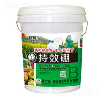 ��Ч���w����-���՘�(l��)