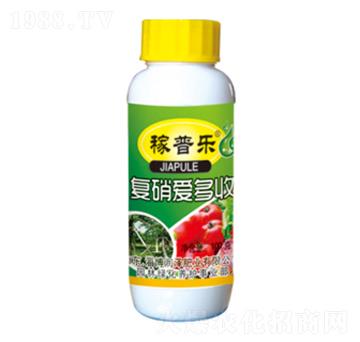 ��(f��)����(��i)����-���՘�(l��)-��(r��n)