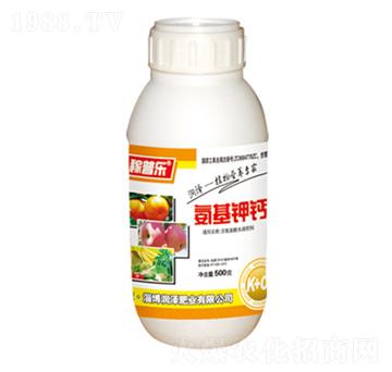 ������}-���՘�(l��)-��(r��n)��