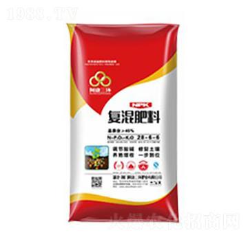 ��(f��)�����28-6-6-���S����