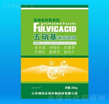 �������S�����-��������