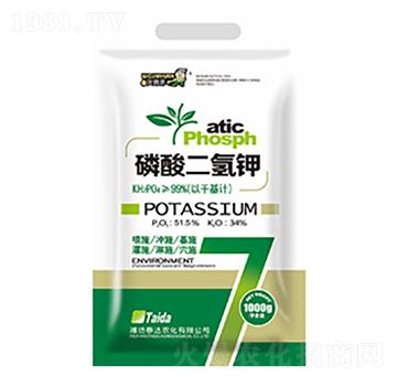 �������⛣�1000g��-̩�_�r��