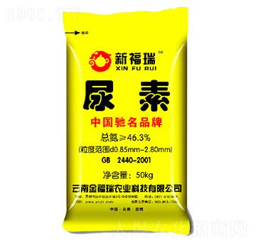 ����-����