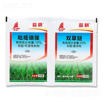 10%���׻�¡+20%�p����-�Ը�-ϲ�S��