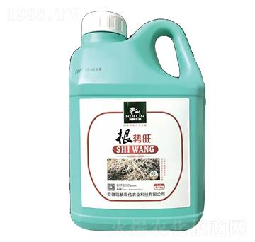 ����(sh��)��-����