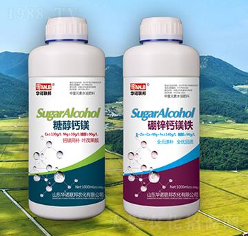 ���\�}�V�F-�A�Z(li��n)��