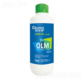 ���ۺ�ø����̼���-�W��(l��)��-����(l��)��