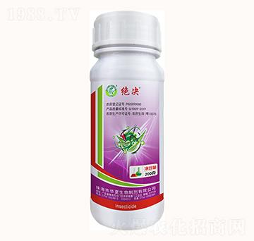 2.4%���S������-�^�Q-�A������