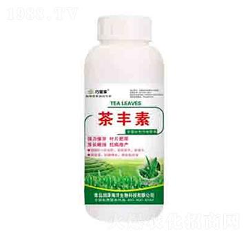 ���S�� �ɹܼ� ����