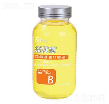 ���w�� ������