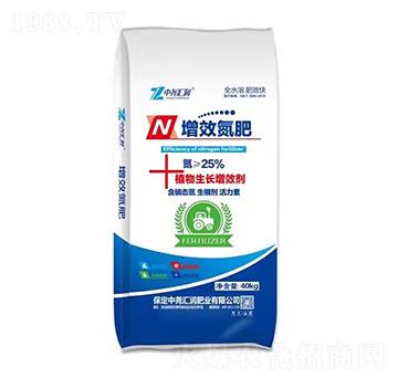 ��Ч���� �Ј�R��