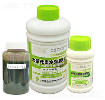 Ӣ��˼�������� ����r(n��ng)�I(y��)