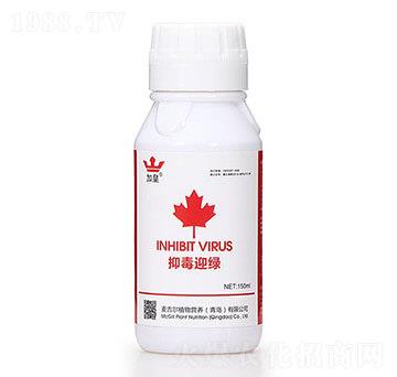 �ֶ�ӭ�G�����β������� �G�ʼt��