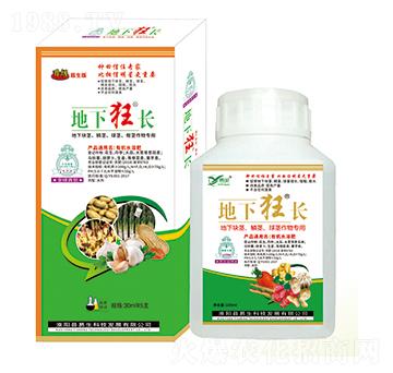 ���K�o���[�o�����o����� ���¿��L ����