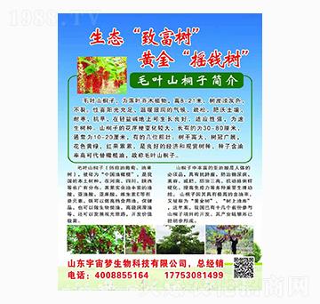 ë�~ɽͩ�� �����(m��ng)����