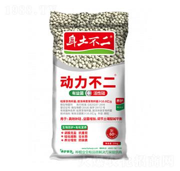 ��(d��ng)������ �������� ��ľ������