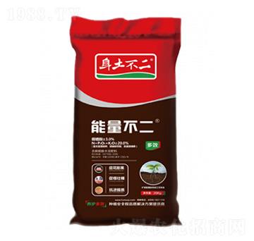 �������� �������� ��ľ������