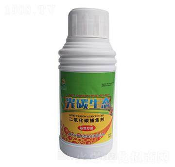 ������̼������-��̼���B(t��i)-�_(k��i)���r(n��ng)�I(y��)