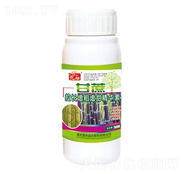 �������L���������A��-�������r(n��ng)