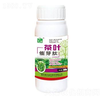 ���~��ѿ��-�������r