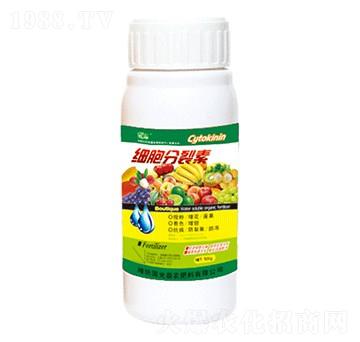 ��(x��)��������-��(gu��)�����r(n��ng)