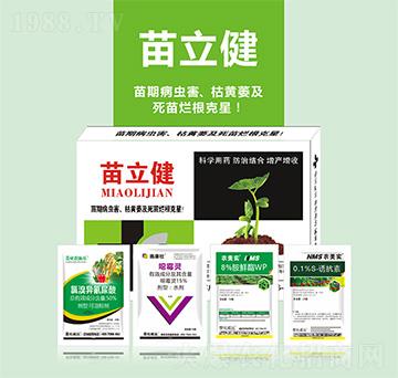 ������-�滯���h