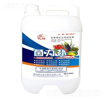 �����a(b��)-�������r(n��ng)