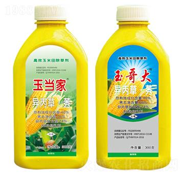 40%�����ݡ�ݬ����������ǰ���ó��݄���-�񮔼�+����