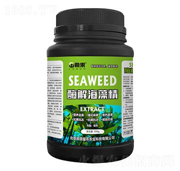 ø�⺣�徫-�չ�-�������r