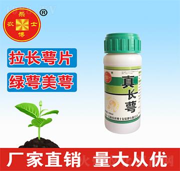 ���L(zh��ng)��-���r(n��ng)��ʿ