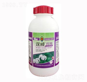 �������(l��i)�~���-������(y��u)��-��(��i)��̩