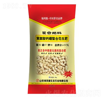 �S�����}�����ϻ�����1