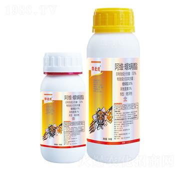 33%���S��������-�A����-��(y��u)���_